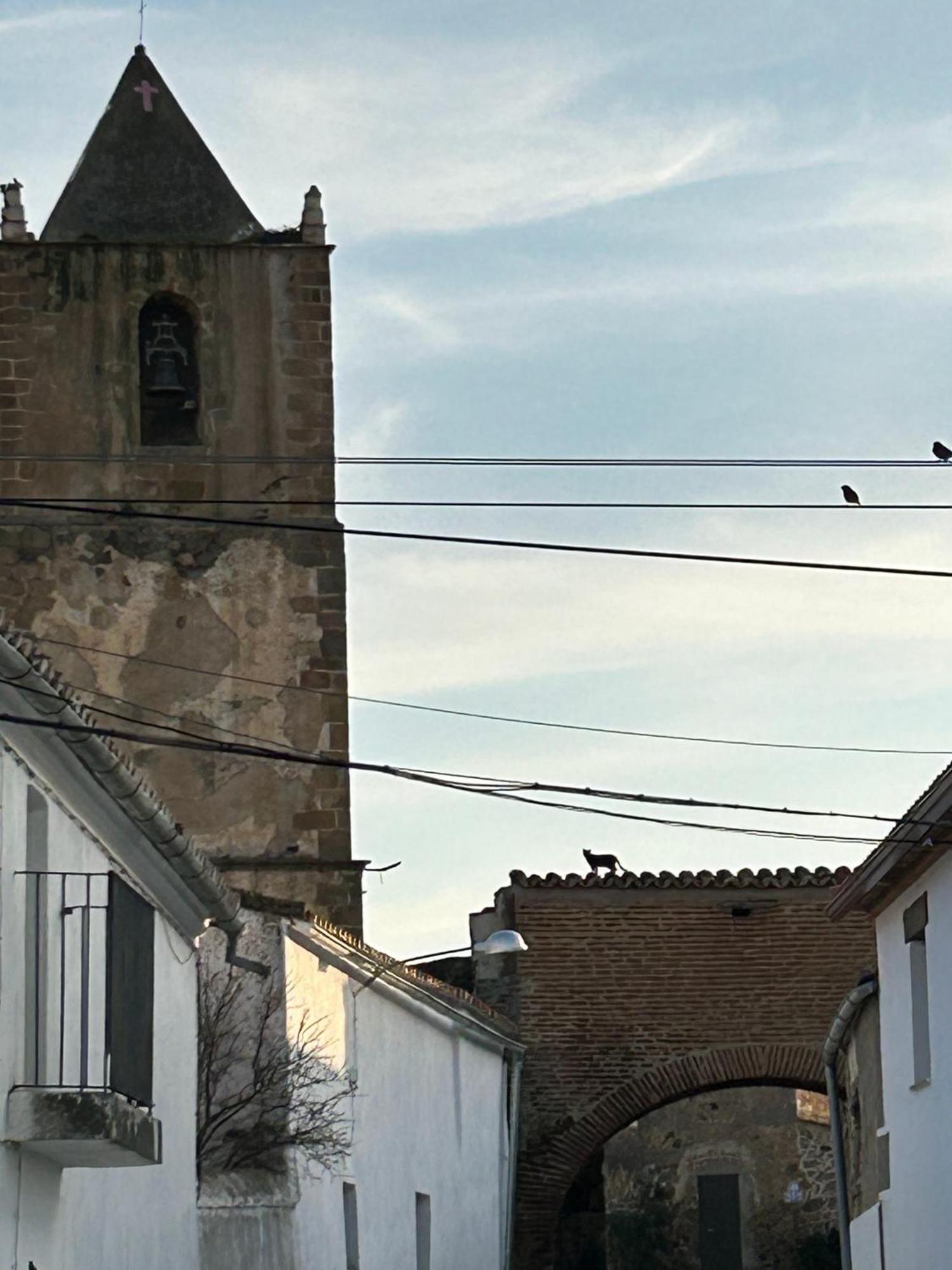 Casa Rural La Manzanilla Salvatierra de Santiago Eksteriør bilde