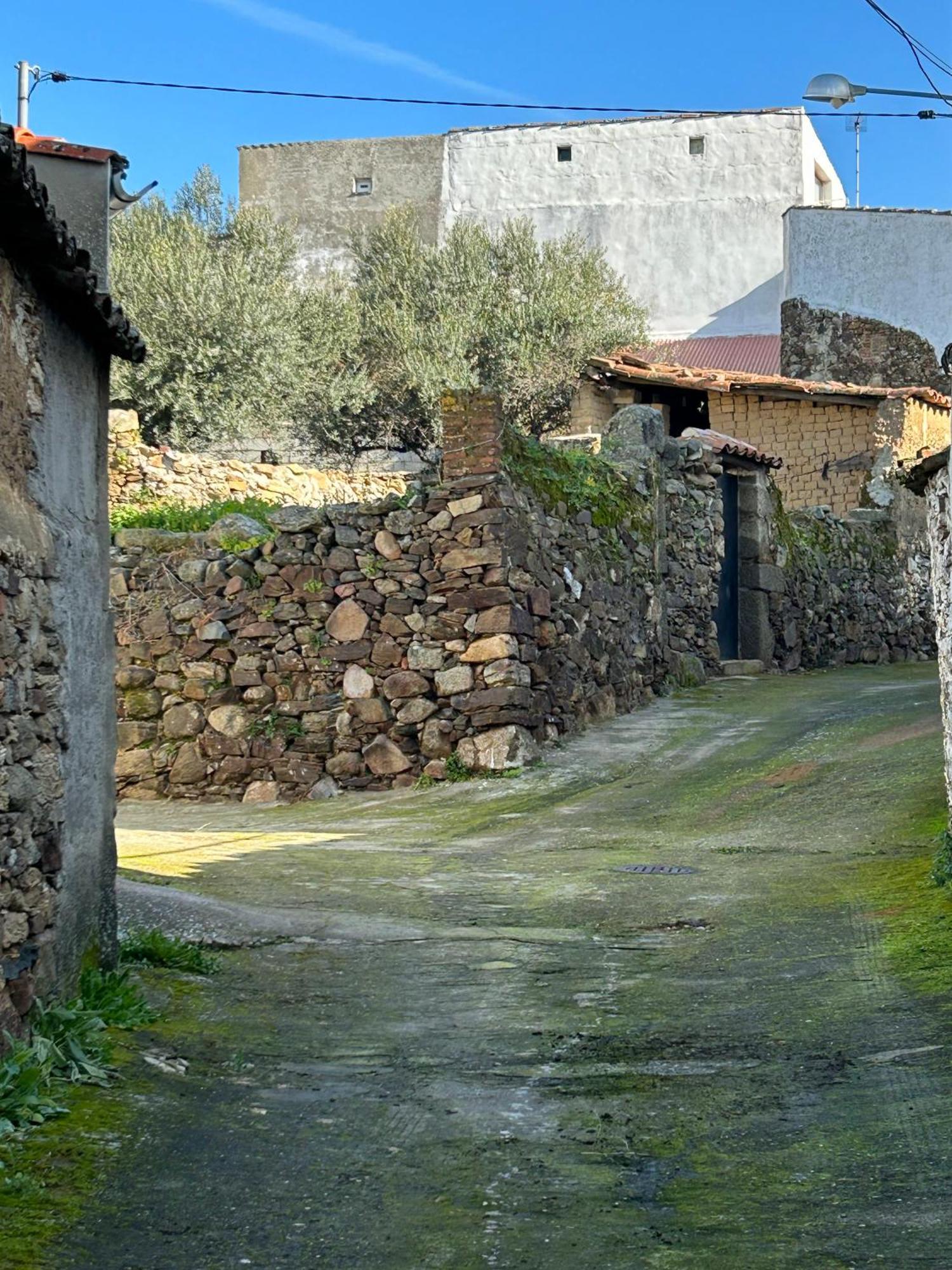 Casa Rural La Manzanilla Salvatierra de Santiago Eksteriør bilde
